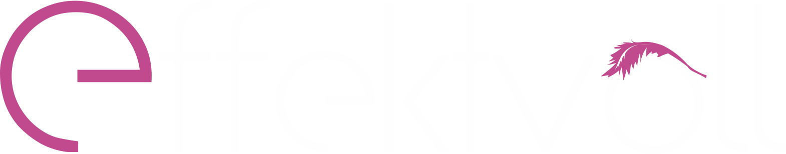 Logo Effektvoll Webdesign & Onlinemarketing